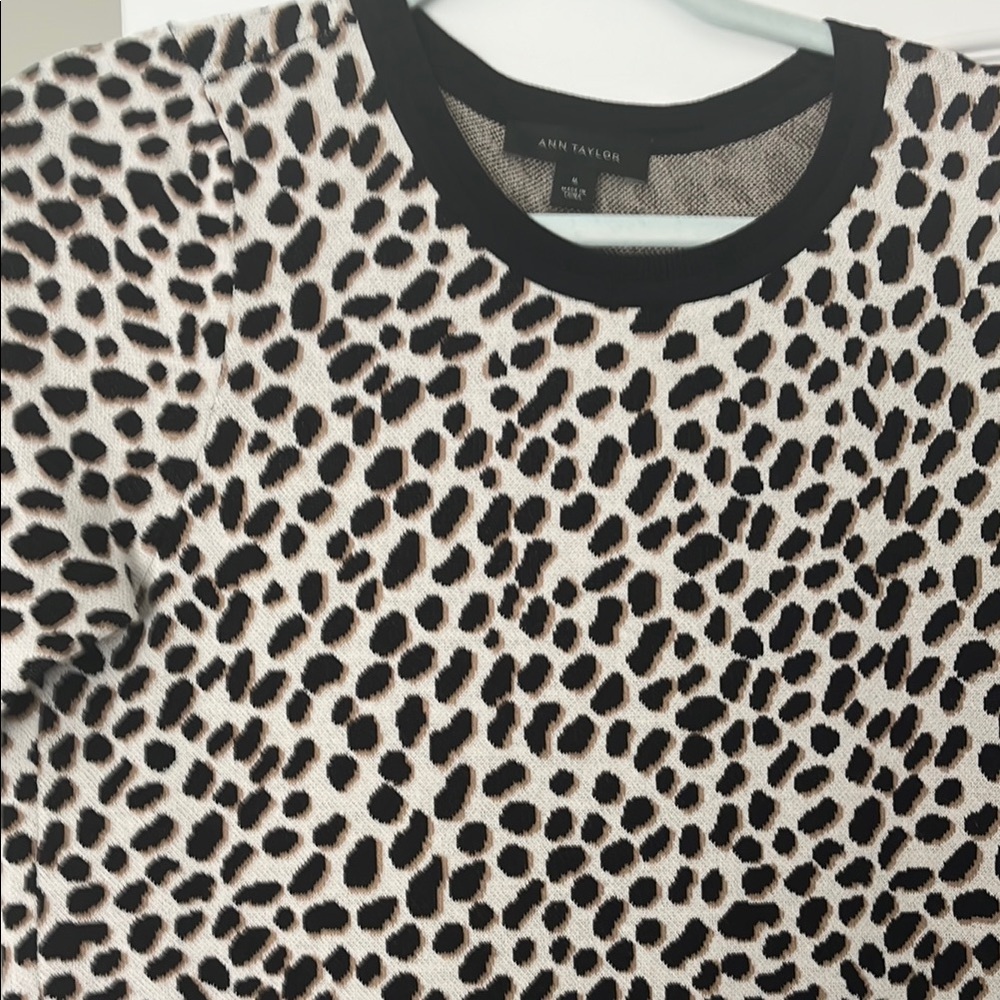 Ann Taylor Leopard Print Top